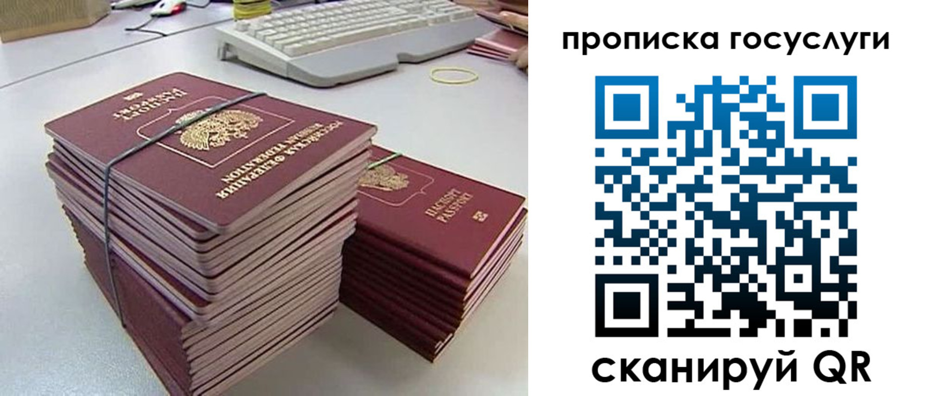 временная регистрация для школы в Приморско-Ахтарске